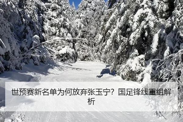 shi-yu-sai-xin-ming-dan-wei-he-fang-qi-zhang-yu-ning-guo-zu-feng-xian-chong-zu-jie-xi-2-395.jpg